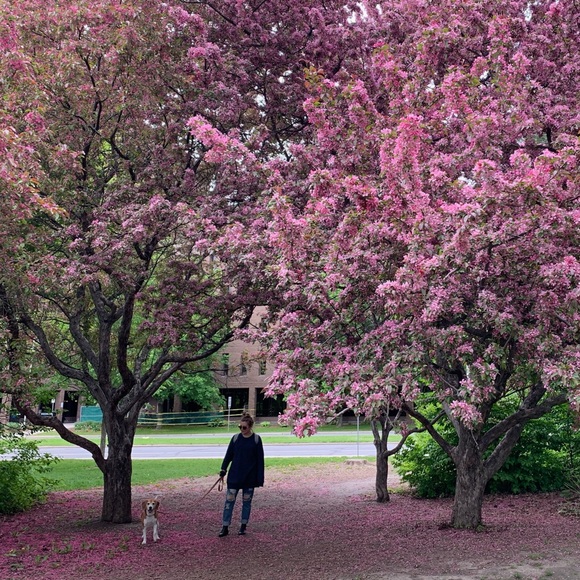 Meet your Posher, Grace - Picture 2 of 2